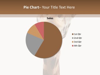 Fun High South PowerPoint Template