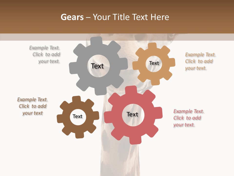 Fun High South PowerPoint Template