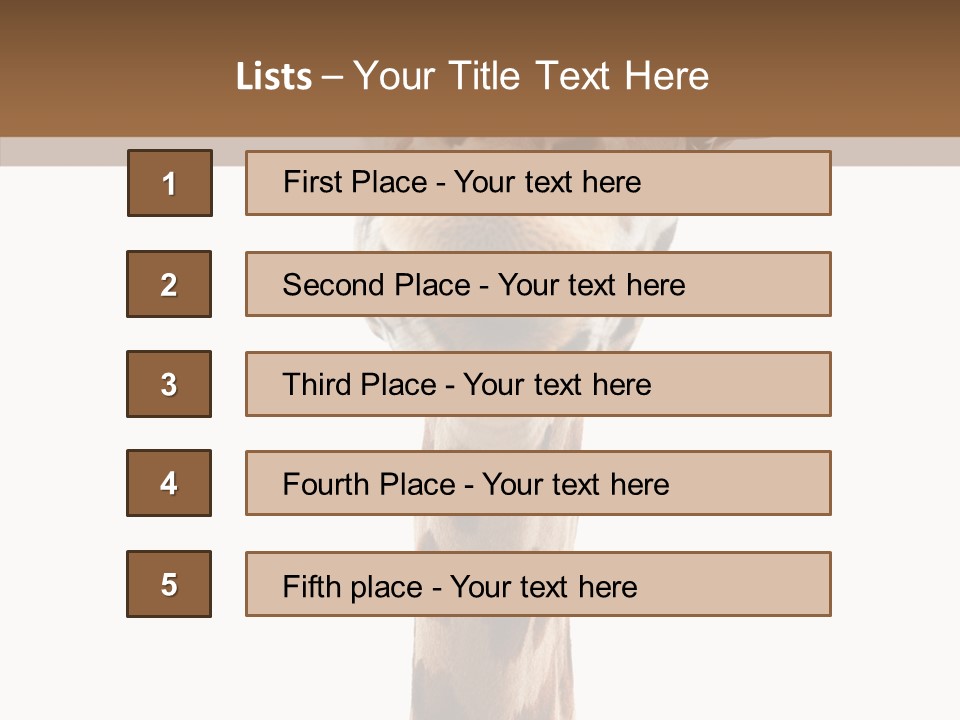 Fun High South PowerPoint Template