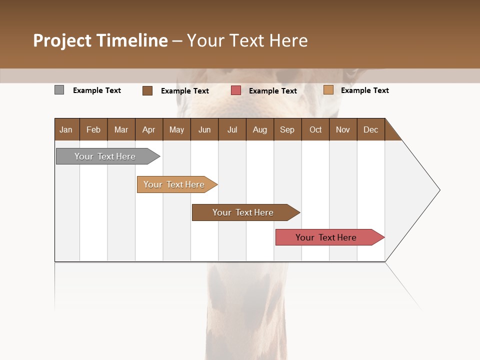 Fun High South PowerPoint Template