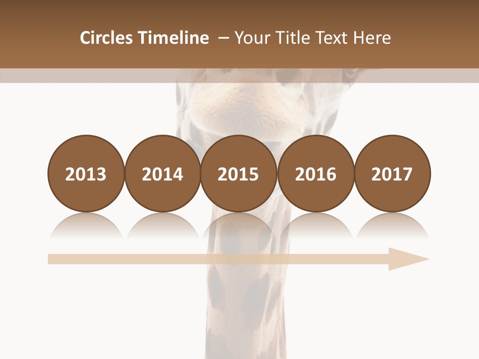 Fun High South PowerPoint Template