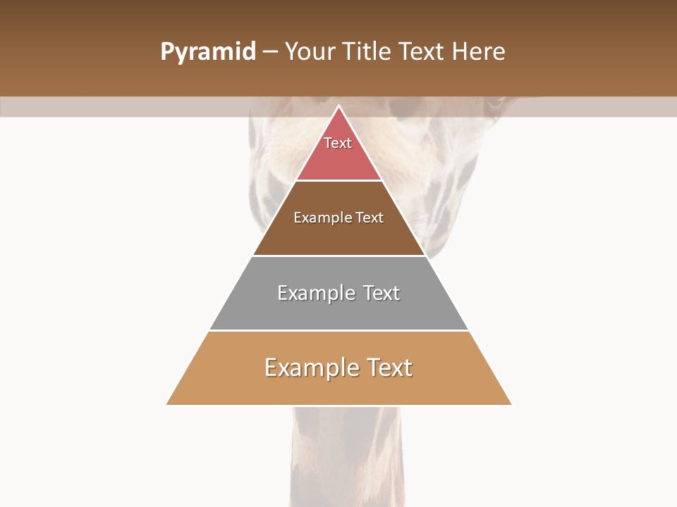 Fun High South PowerPoint Template