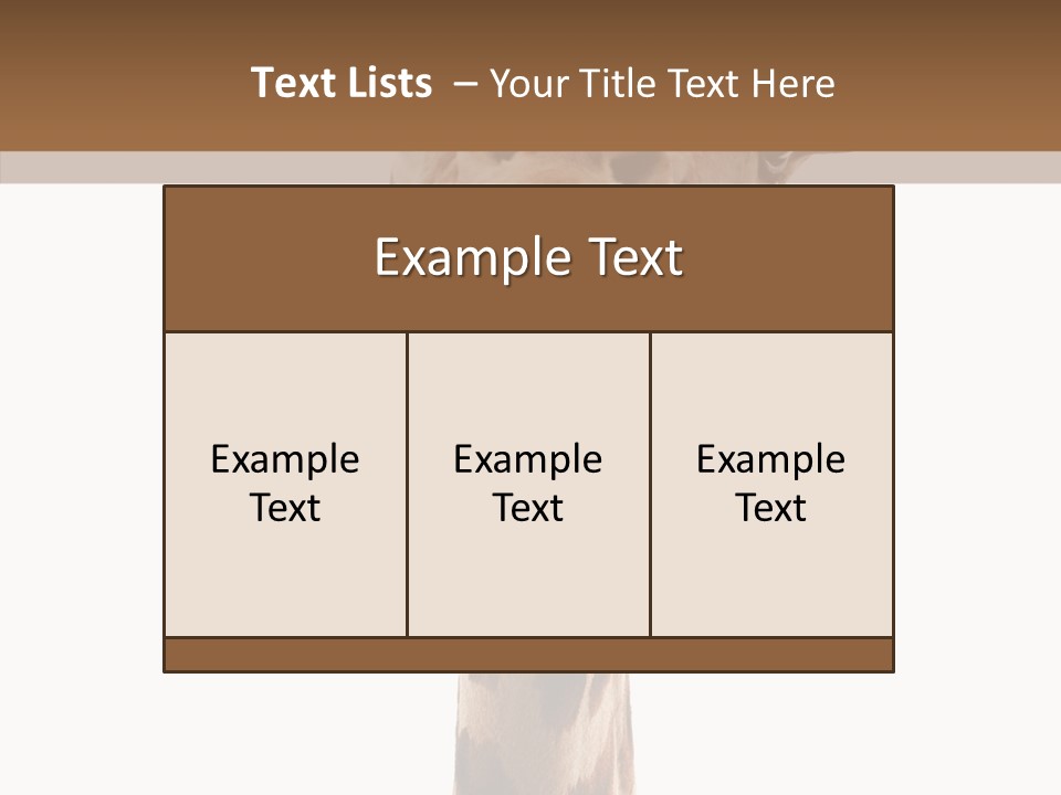 Fun High South PowerPoint Template