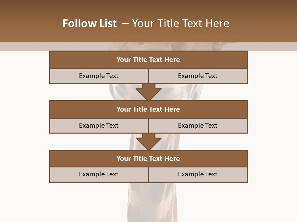 Fun High South PowerPoint Template