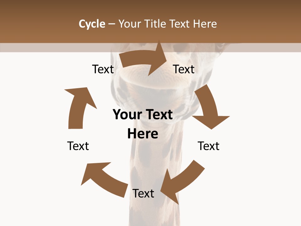 Fun High South PowerPoint Template