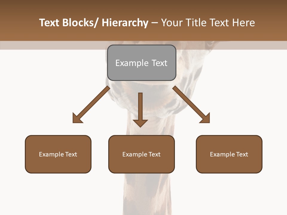 Fun High South PowerPoint Template