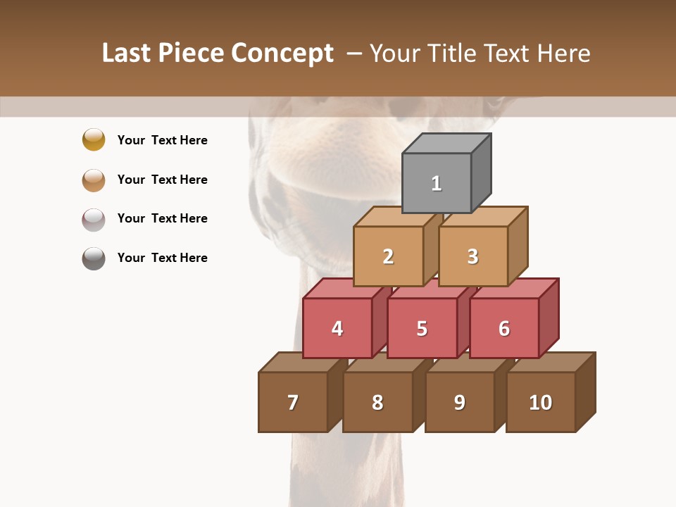 Fun High South PowerPoint Template