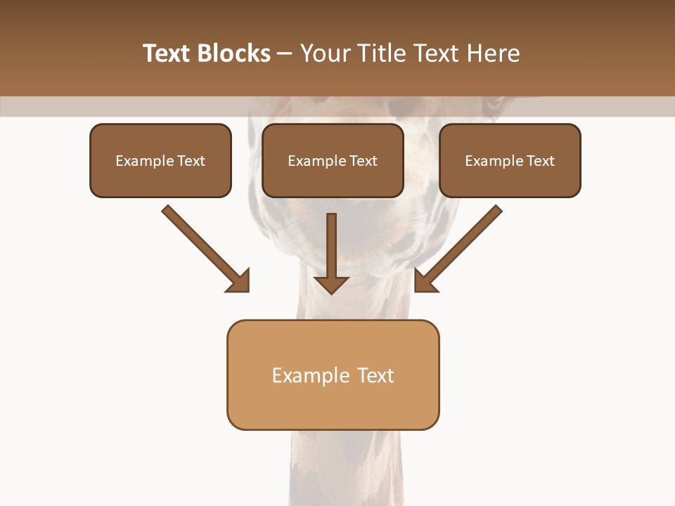 Fun High South PowerPoint Template