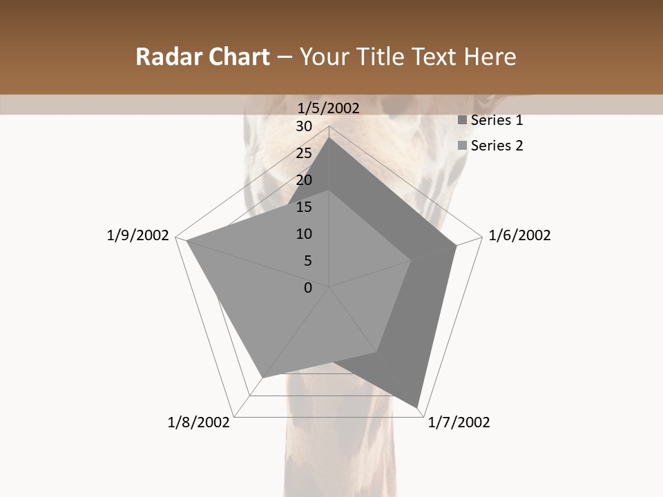 Fun High South PowerPoint Template