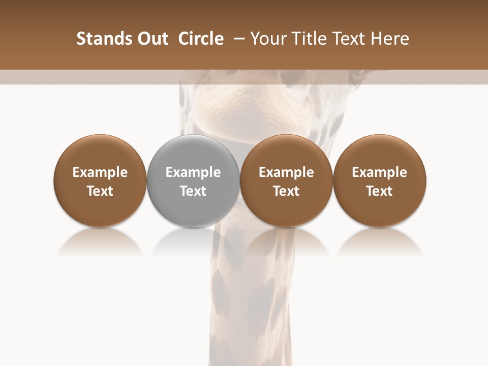 Fun High South PowerPoint Template