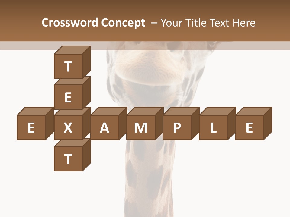 Fun High South PowerPoint Template