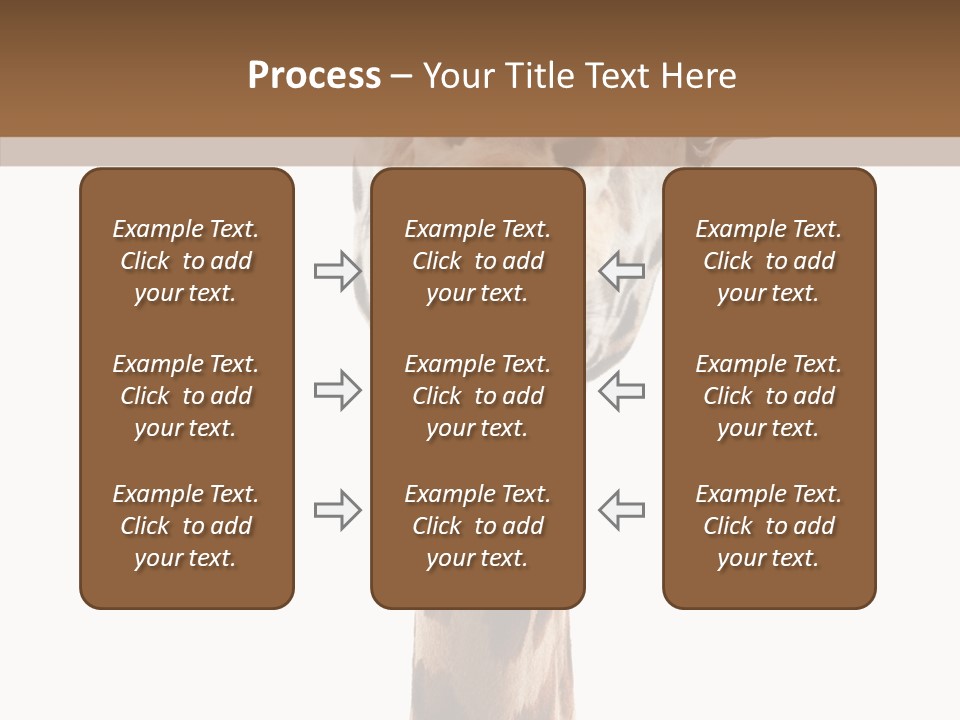 Fun High South PowerPoint Template