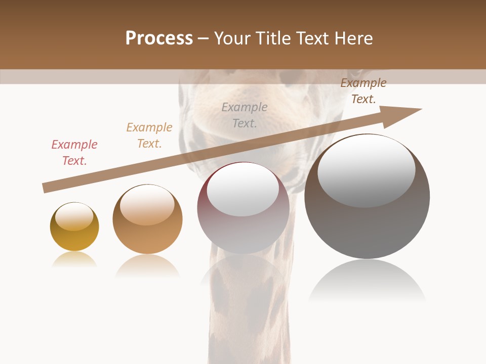 Fun High South PowerPoint Template