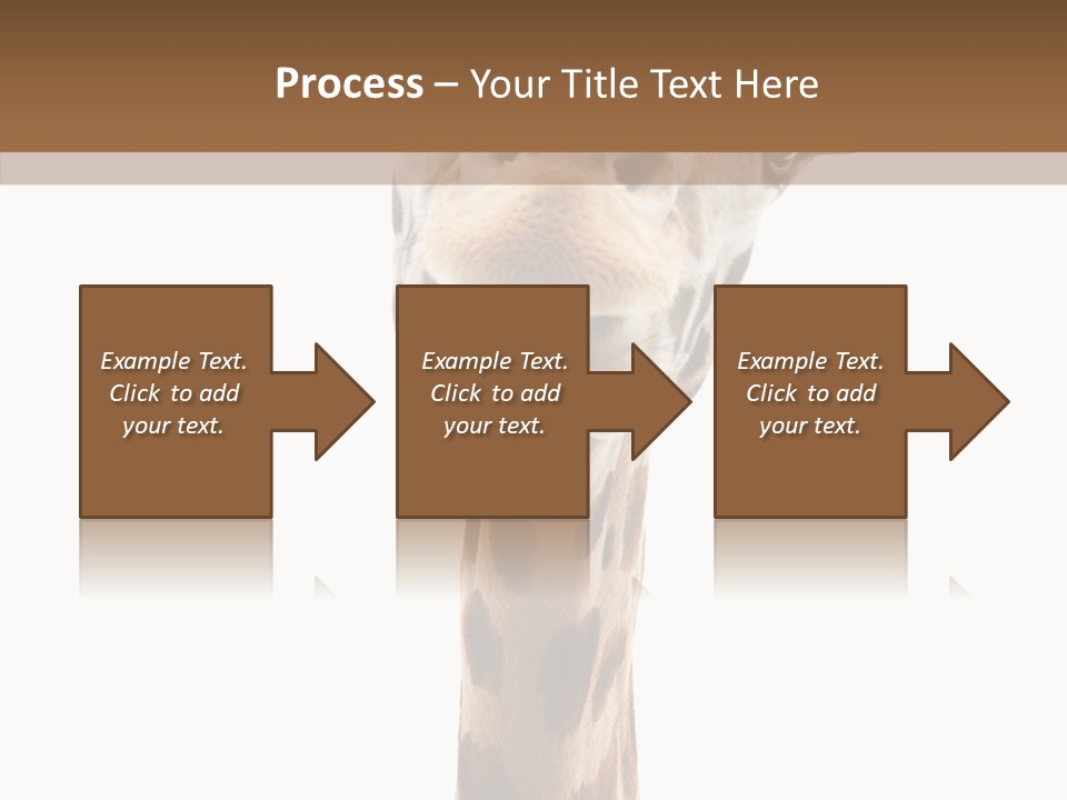 Fun High South PowerPoint Template