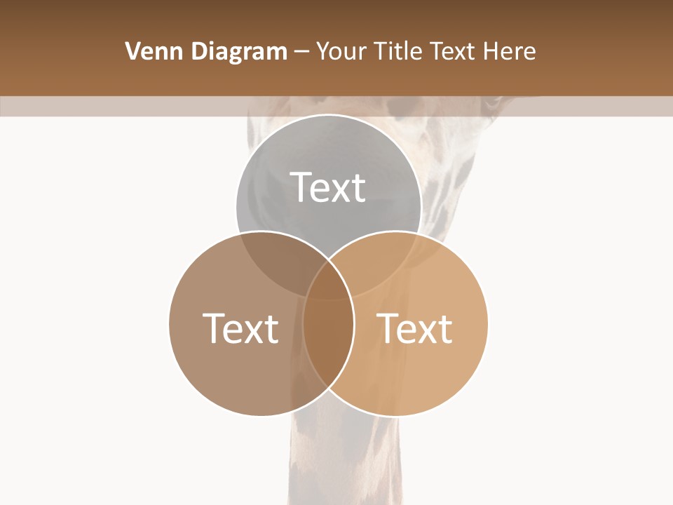 Fun High South PowerPoint Template