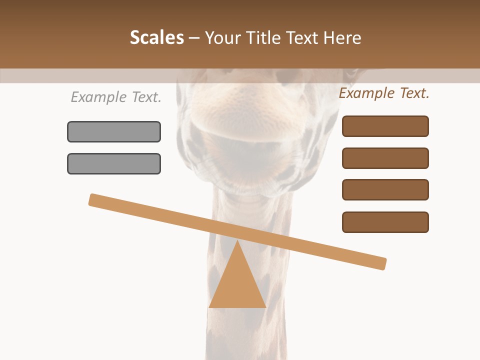 Fun High South PowerPoint Template