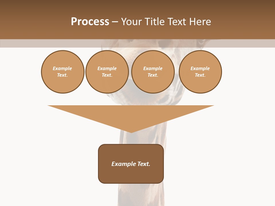 Fun High South PowerPoint Template