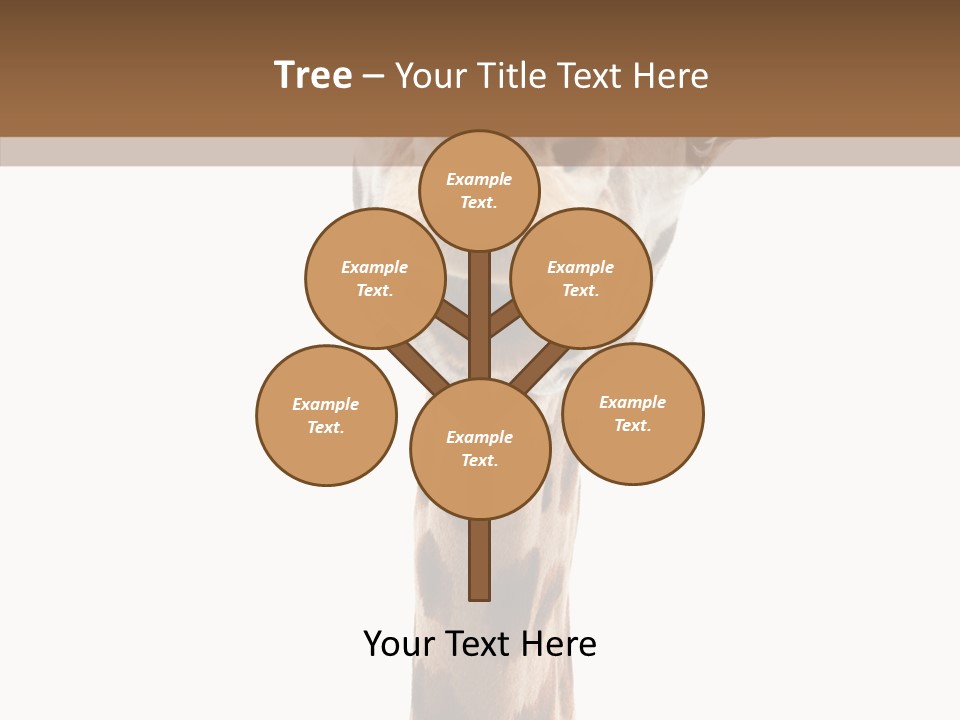 Fun High South PowerPoint Template