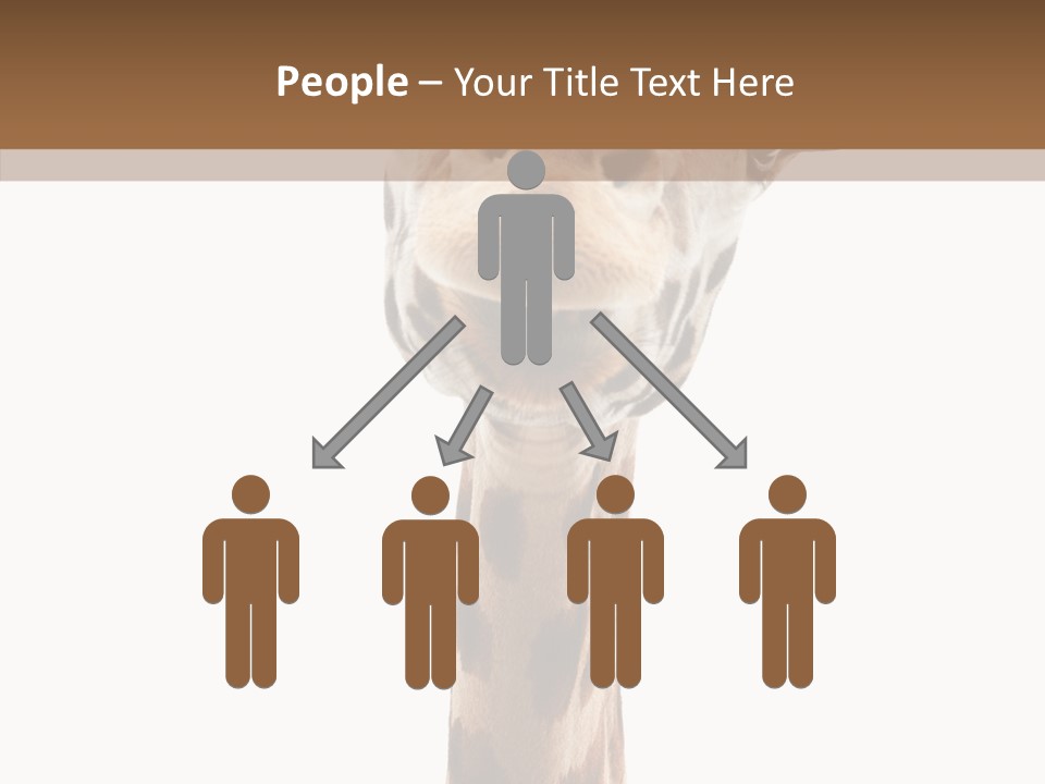 Fun High South PowerPoint Template