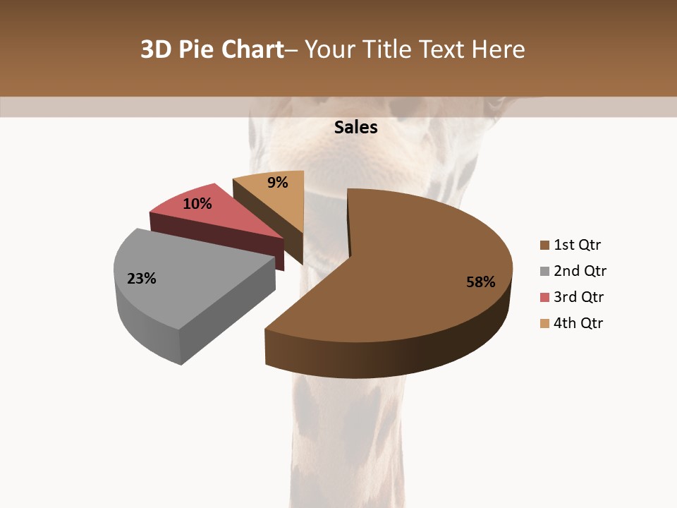 Fun High South PowerPoint Template