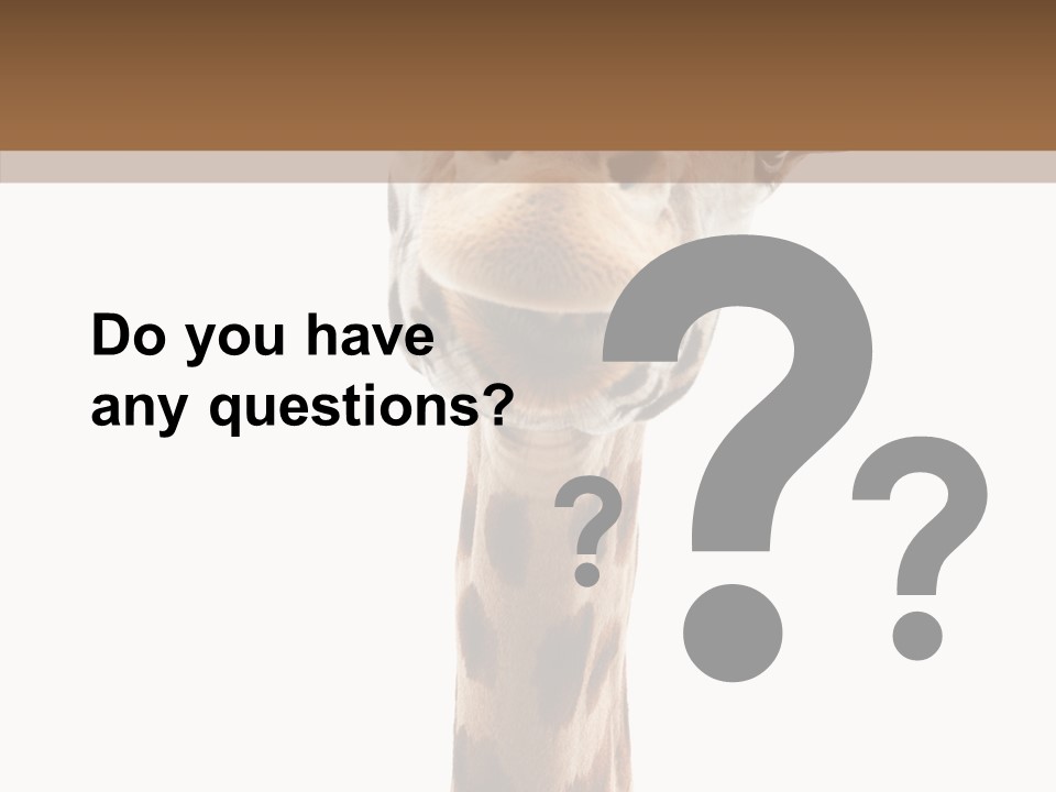 Fun High South PowerPoint Template