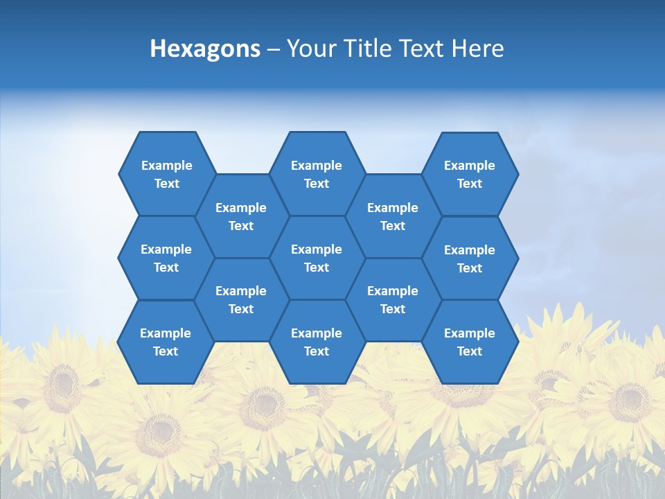 Sky Clear Flower PowerPoint Template