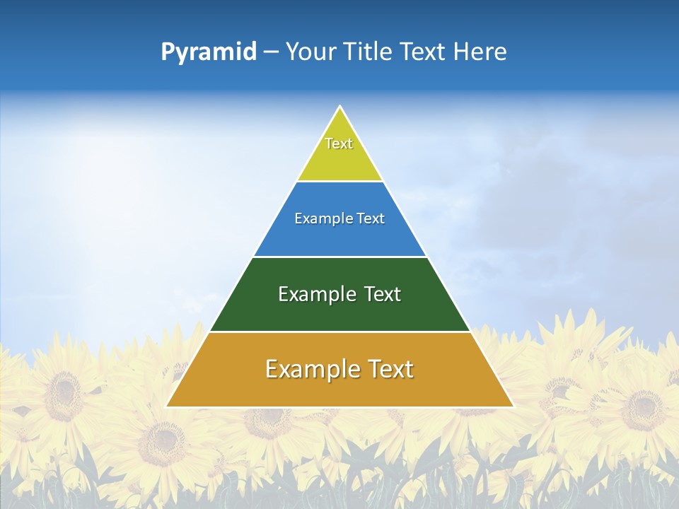 Sky Clear Flower PowerPoint Template