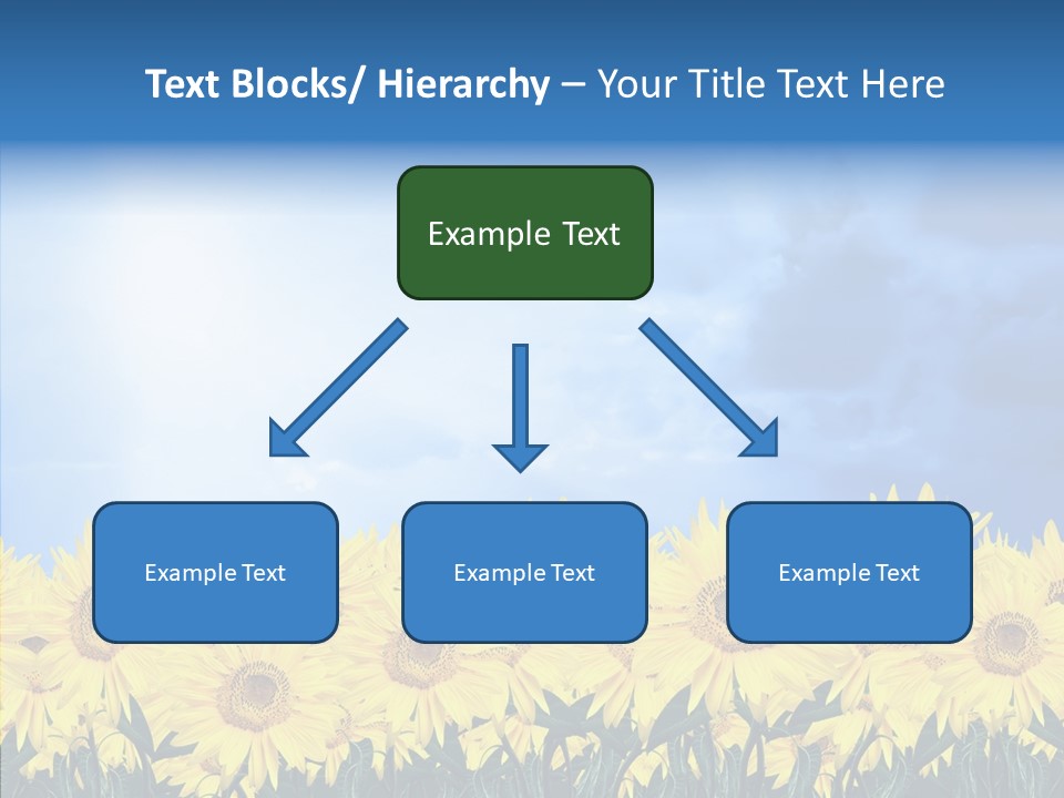 Sky Clear Flower PowerPoint Template
