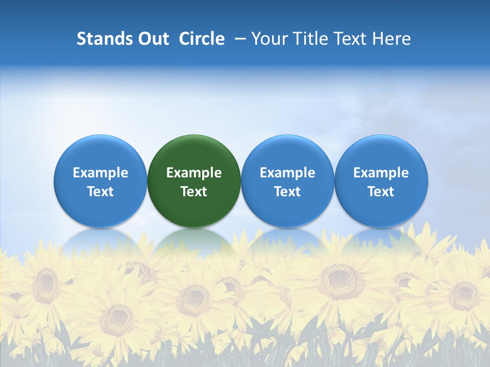 Sky Clear Flower PowerPoint Template