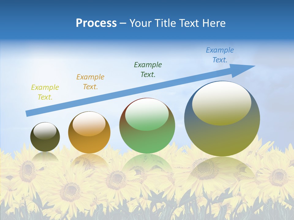 Sky Clear Flower PowerPoint Template