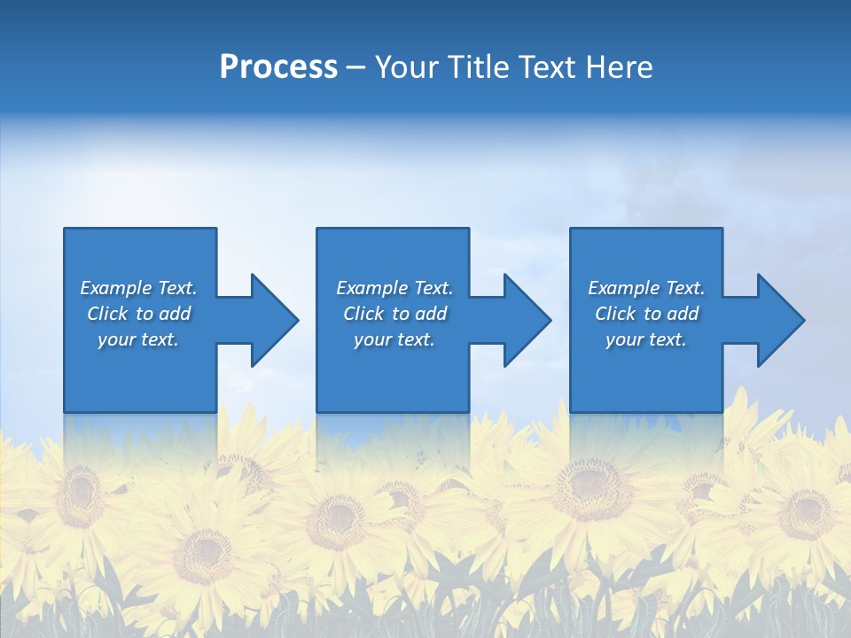 Sky Clear Flower PowerPoint Template