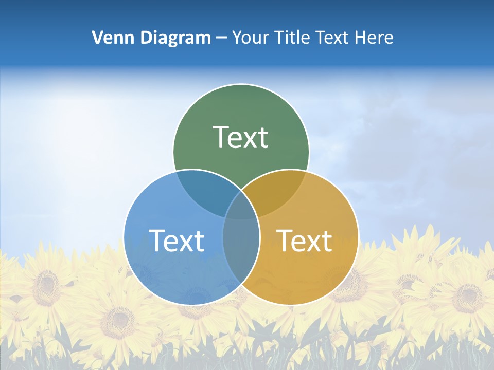 Sky Clear Flower PowerPoint Template
