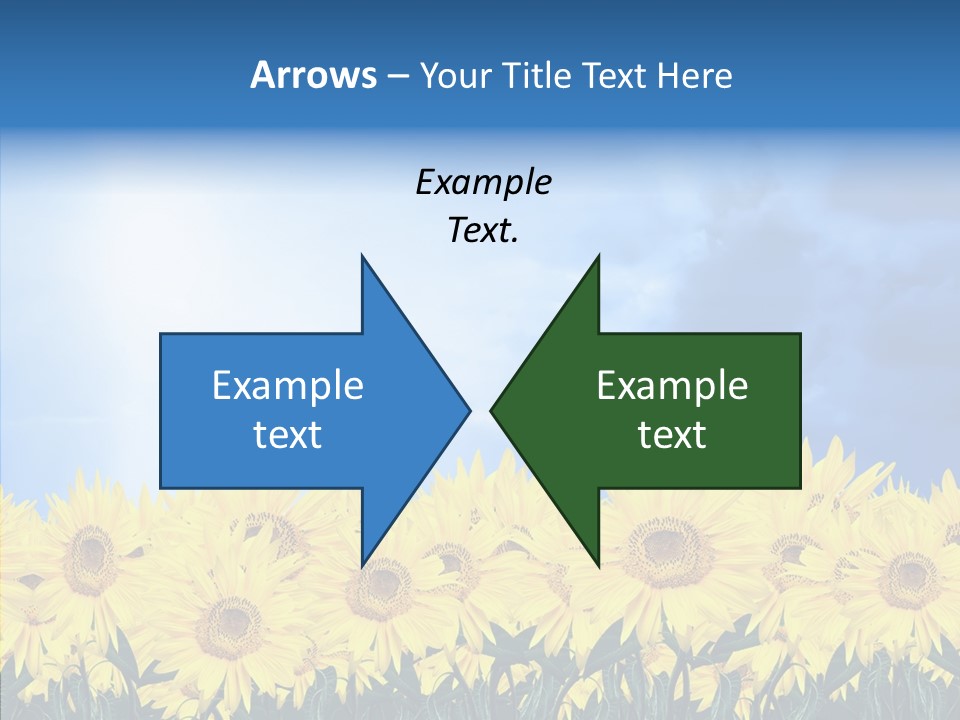 Sky Clear Flower PowerPoint Template