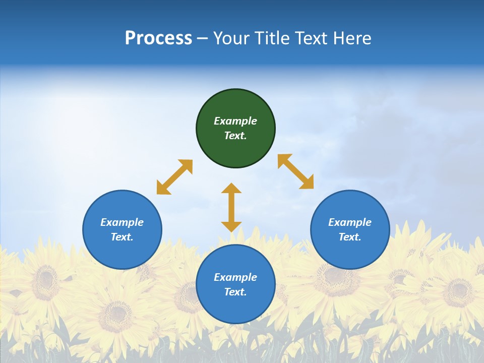 Sky Clear Flower PowerPoint Template