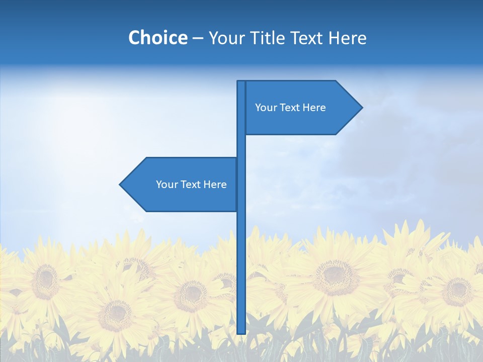 Sky Clear Flower PowerPoint Template