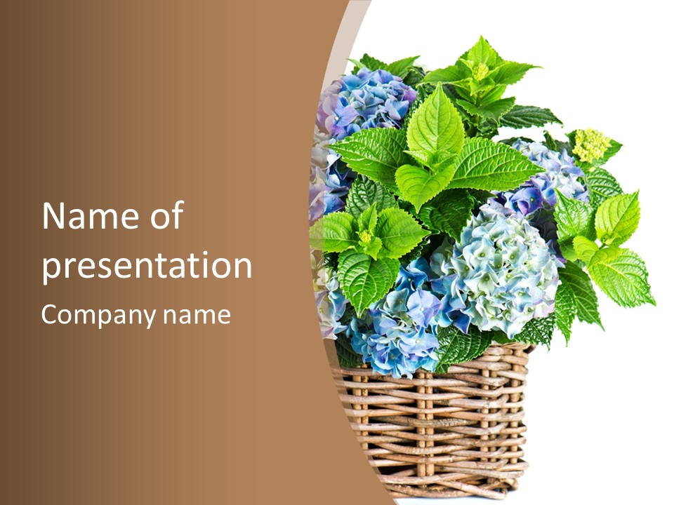 Decoration Studio Hortensia PowerPoint Template