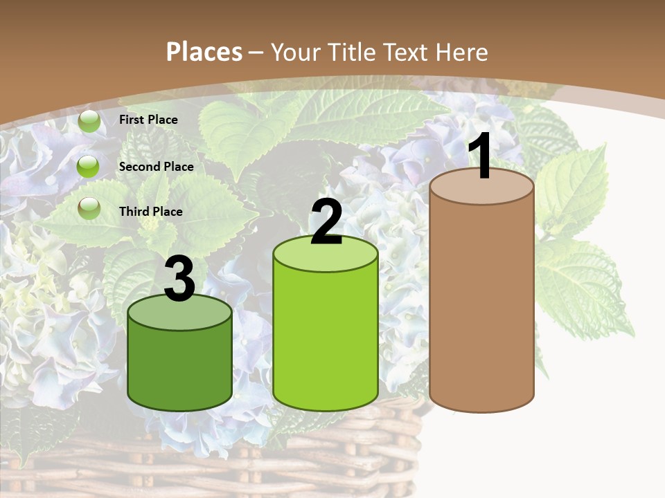 Decoration Studio Hortensia PowerPoint Template