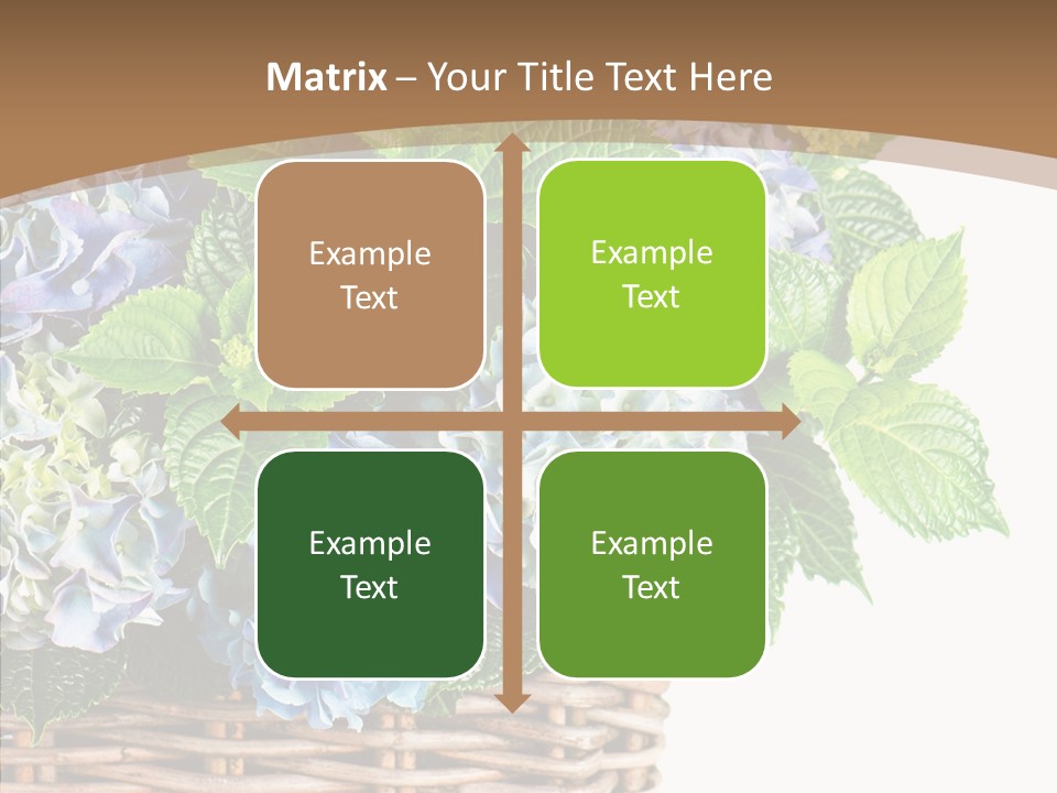 Decoration Studio Hortensia PowerPoint Template