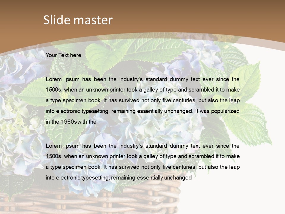 Decoration Studio Hortensia PowerPoint Template