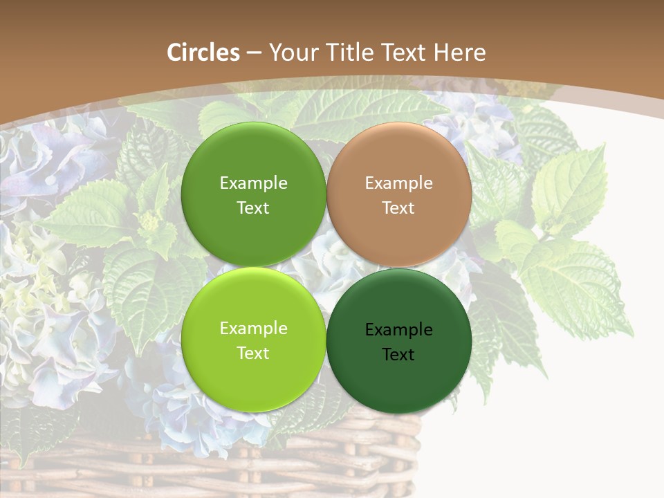 Decoration Studio Hortensia PowerPoint Template