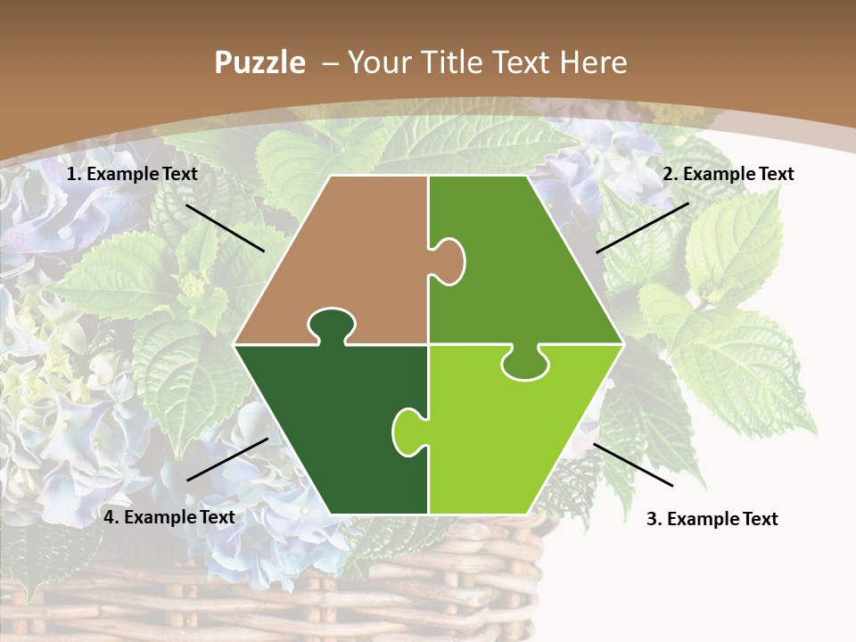 Decoration Studio Hortensia PowerPoint Template