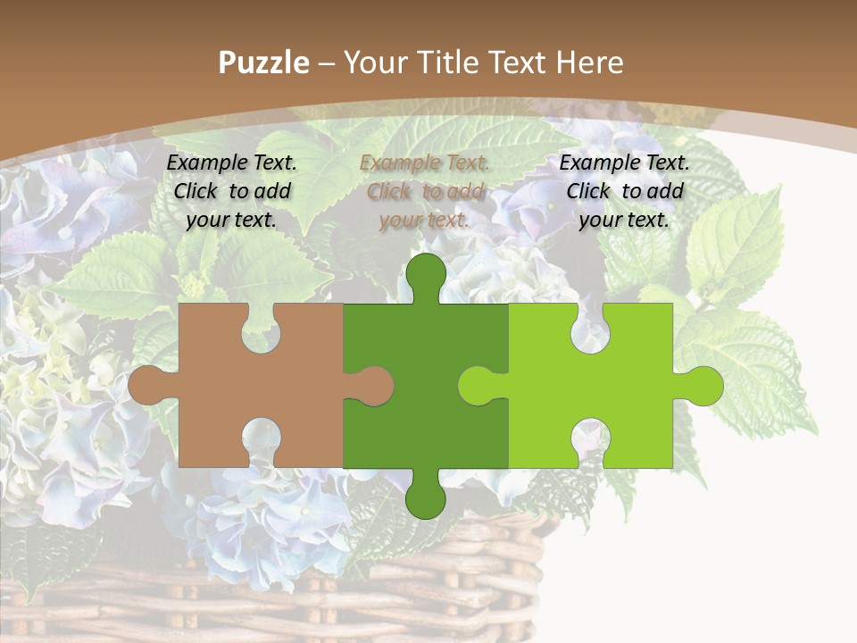 Decoration Studio Hortensia PowerPoint Template