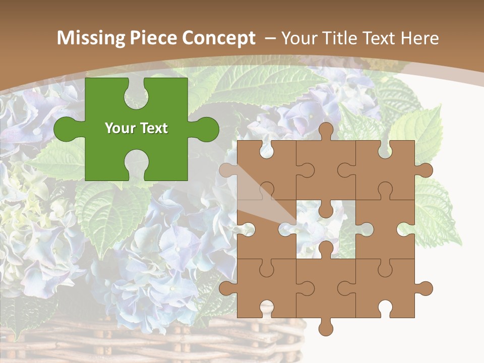 Decoration Studio Hortensia PowerPoint Template