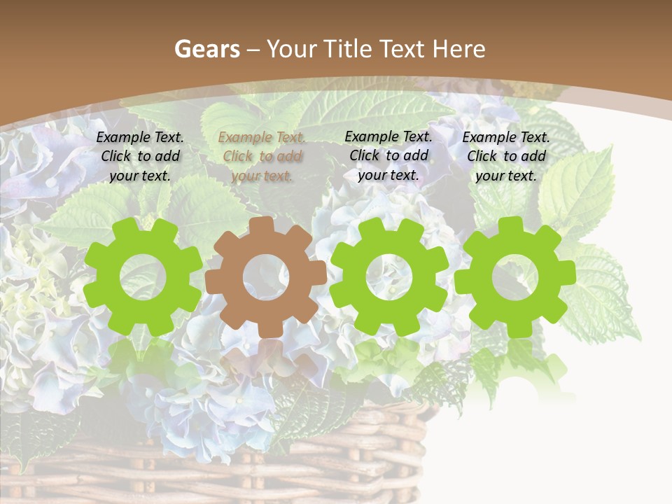 Decoration Studio Hortensia PowerPoint Template