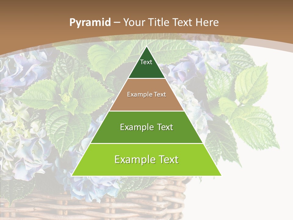 Decoration Studio Hortensia PowerPoint Template