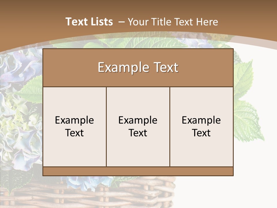 Decoration Studio Hortensia PowerPoint Template
