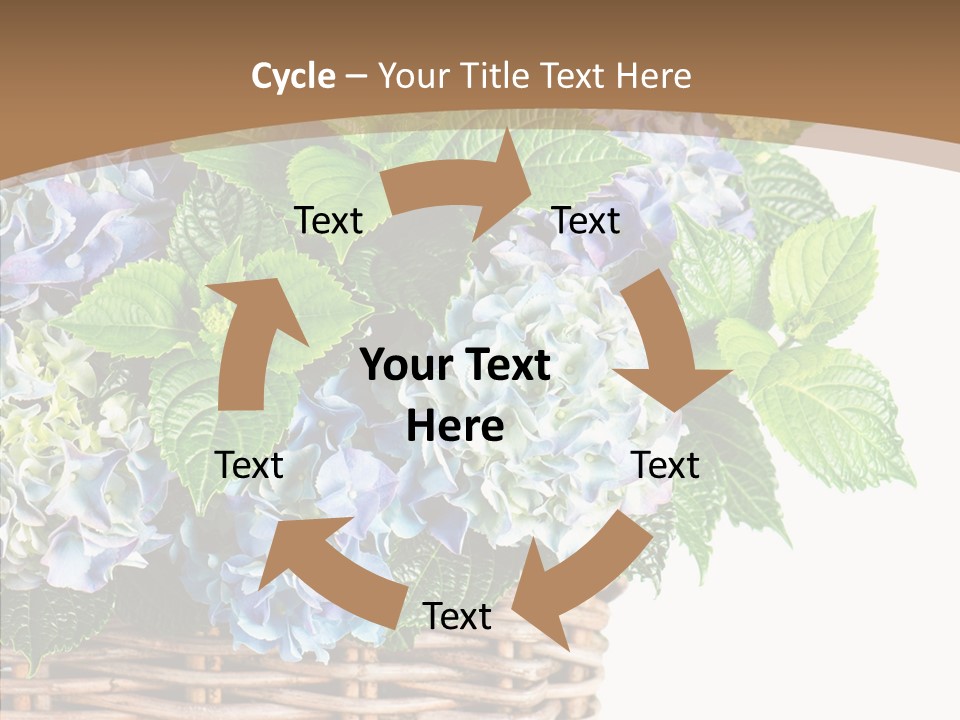 Decoration Studio Hortensia PowerPoint Template