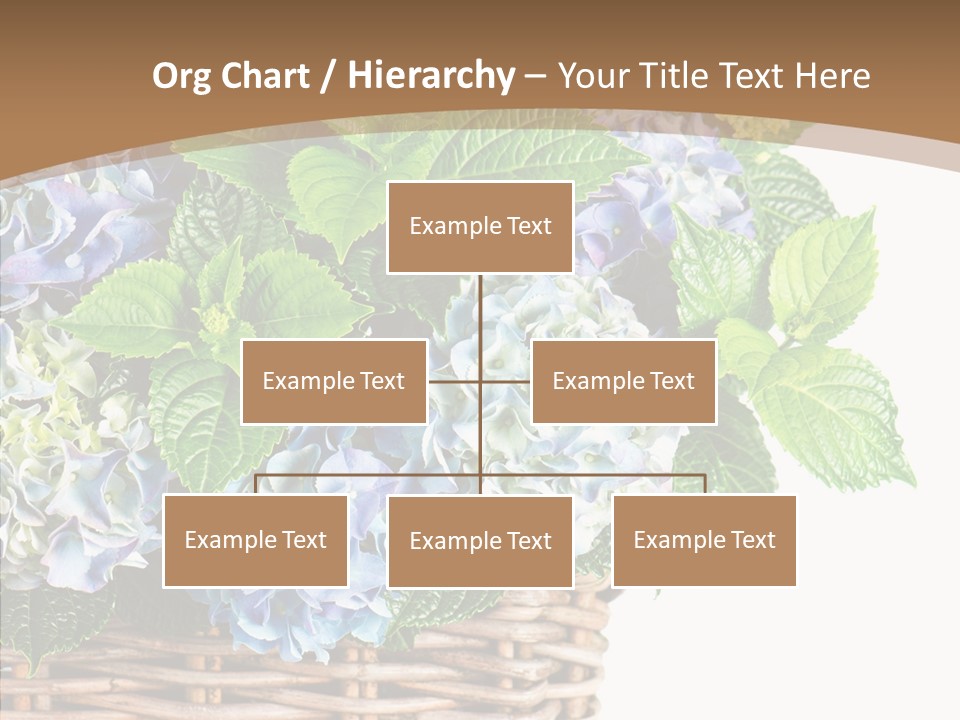 Decoration Studio Hortensia PowerPoint Template