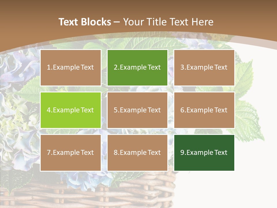 Decoration Studio Hortensia PowerPoint Template