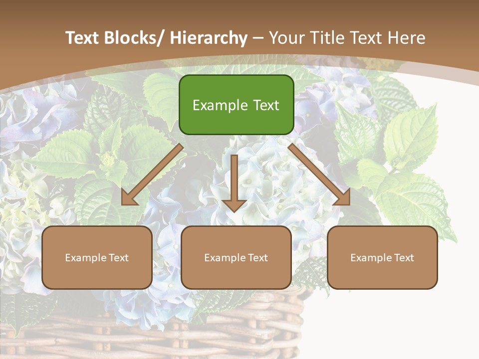 Decoration Studio Hortensia PowerPoint Template